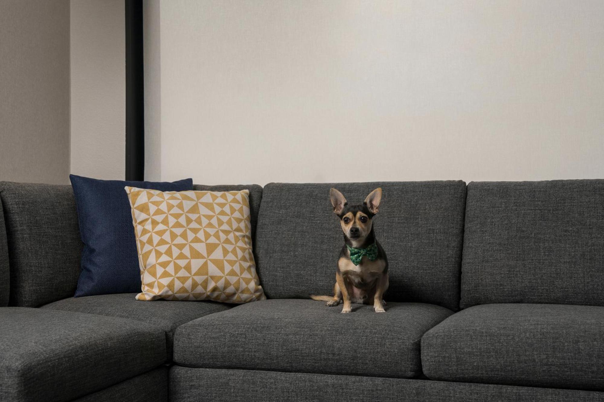 Hyatt Place Denver Cherry Creek Екстериор снимка